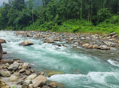 Bhalobasa Resort Dooars